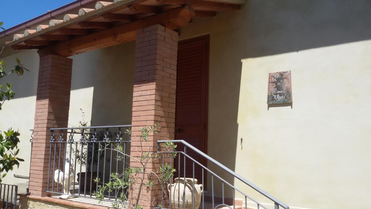 Le Camere Di Nonna Mara Montescudaio Bagian luar foto